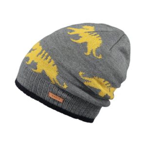 BARTS Beanie Thorn donker heather