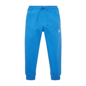 TOM TAILOR Joggingbroek Strong Palace Blauw