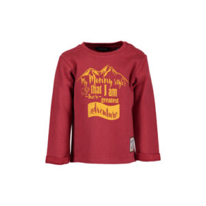 BLUE SEVEN Boys Sweatshirt donkerrood