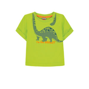 KANZ Jongens T-shirt, lime punch/ green