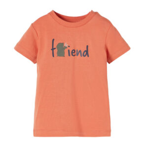 name it T-shirt NBMDEFAM Apricot Brandy