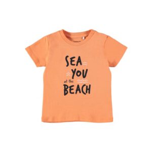 name it T-shirt Nbmhektor Meloen